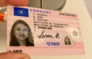 Schwedischer Führerschein