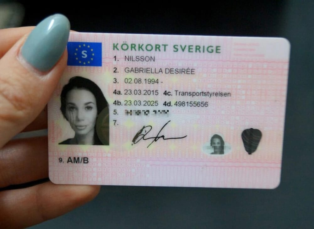 Schwedischen Führerschein kaufen